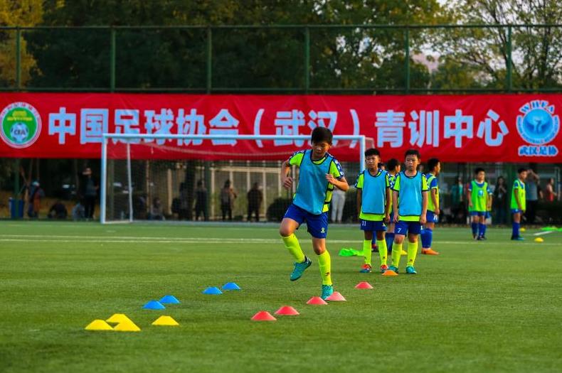 微信截图_20181106140549.jpg