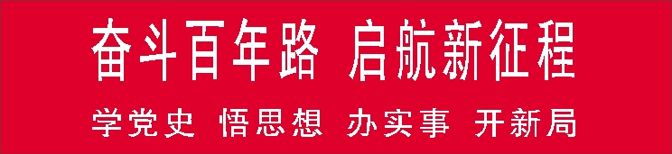 奋斗百年路学党史悟思想办实事开新局.jpg