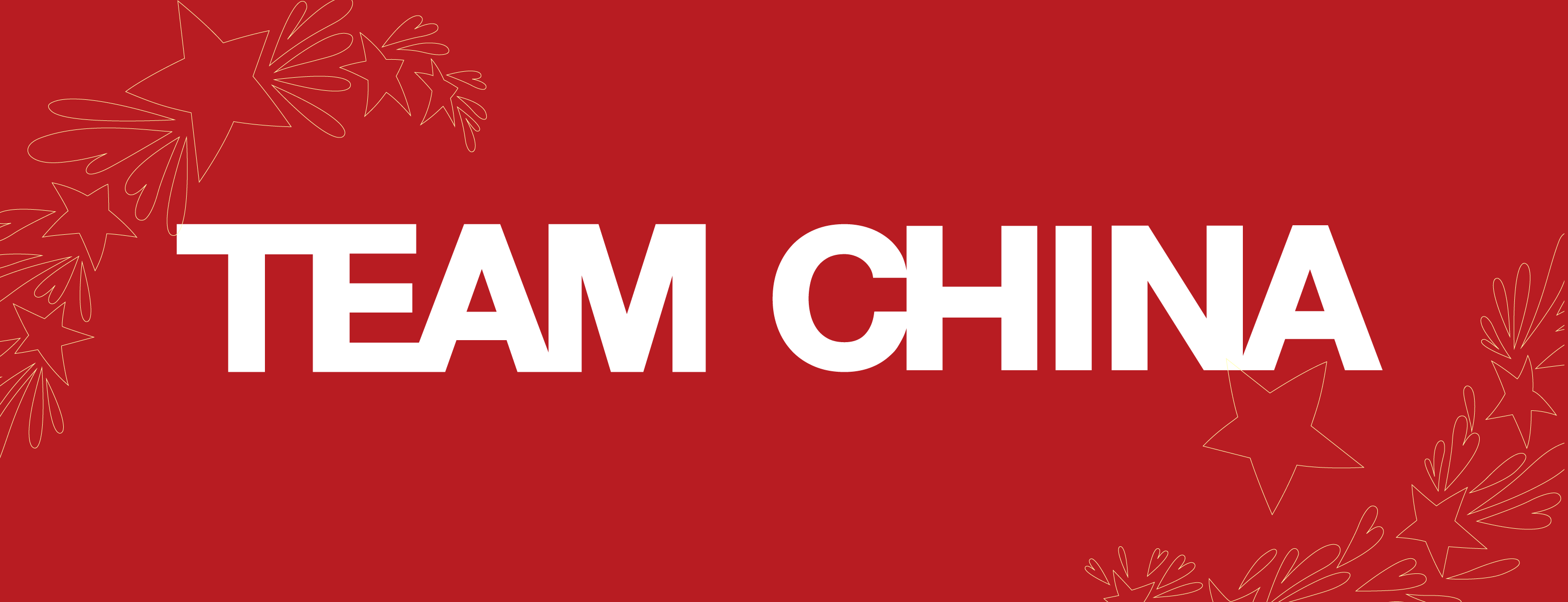 中国之队.png