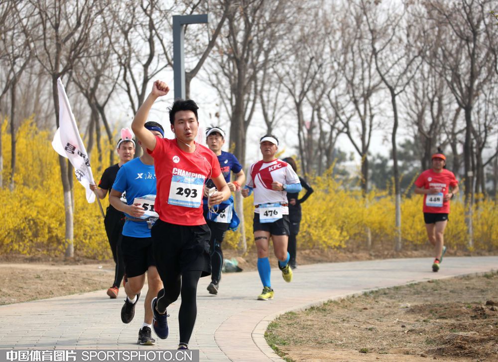 W_34075010_18040119_by.jpg