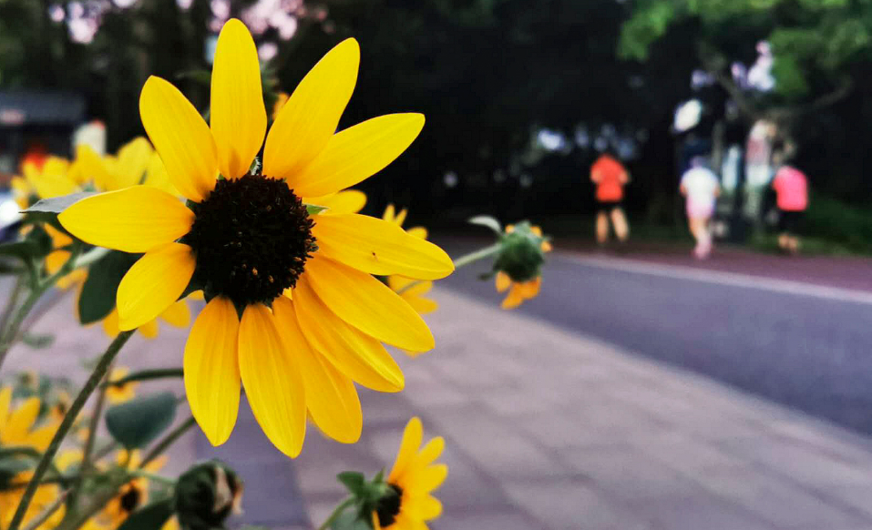 0803-健身.png 0803-健身.png