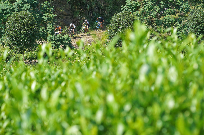 山地自行车.png 山地自行车.png