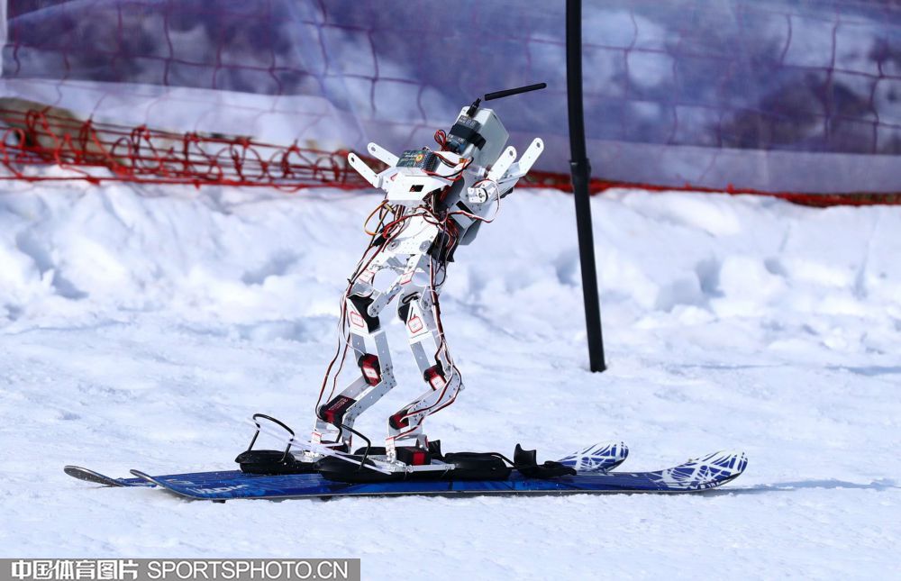 0301-机器人.jpg 0301-机器人.jpg