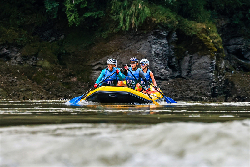 W020251110476866292858.jpg W020251110476866292858.jpg