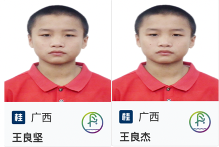 王氏双兄弟.png