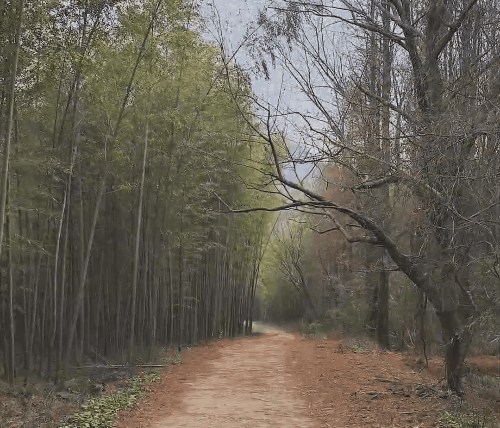 慢跑2.gif