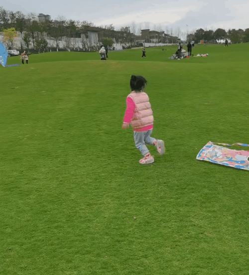 放风筝08.gif