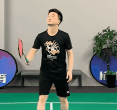 2.gif