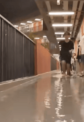 划水01.gif 划水01.gif